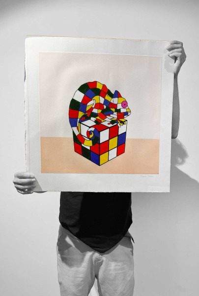 "Ettore" Chameleon Rubik - Etching